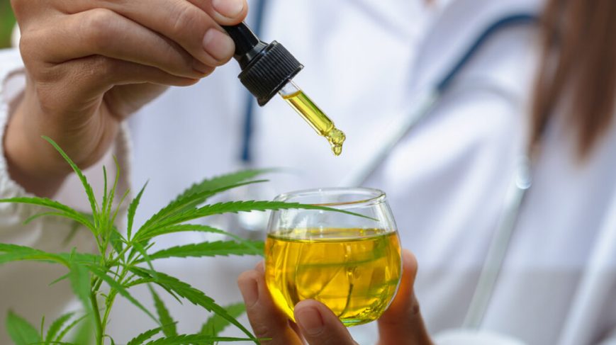 All that You Need to Know About the CBD