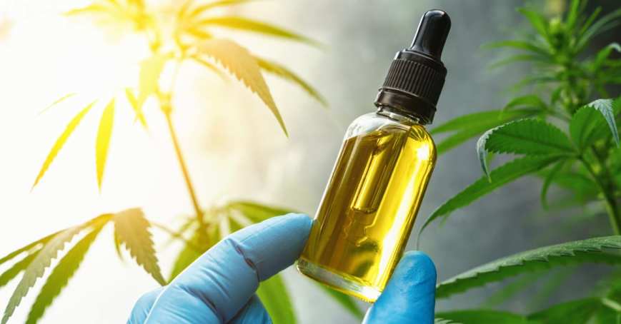Does CBD Oil Work? Concentrates on Suggest So
